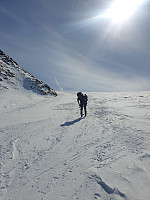 raroa_20220709_62c9caa3c9149.jpg