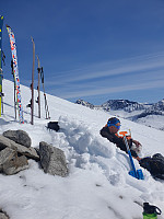 raroa_20220709_62c9caa5d05ba.jpg