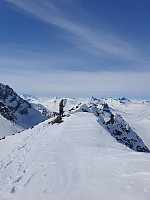 raroa_20220709_62c9caa825a26.jpg