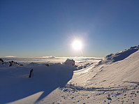 raroa_20221006_633ea7f67638e.jpg