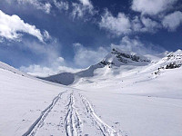 raroa_20221008_63418e57e9ba4.jpg