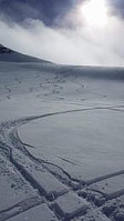 raroa_20221008_63418e5c33f2a.jpg