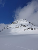raroa_20221008_63419a75d6c38.jpg