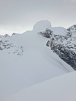 raroa_20221008_63419a7746128.jpg
