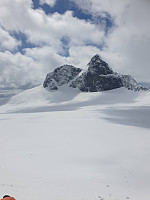 raroa_20221008_63419a7c22784.jpg