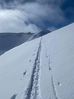 raroa_20230414_643922e6d4575.jpg