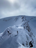 raroa_20230414_643922e772fc1.jpg