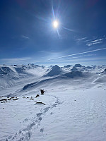 raroa_20230430_644e93df08ef3.jpg
