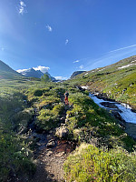 raroa_20230716_64b3eea60d2c7.jpg