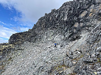 raroa_20230805_64ce19083ddd5.jpg