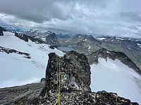 raroa_20230805_64ce190d2645e.jpg