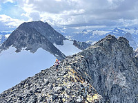 raroa_20230805_64ce190f224ef.jpg