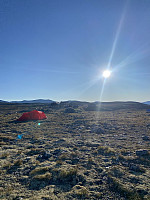 raroa_20240716_6696c6fb98ce5.jpg
