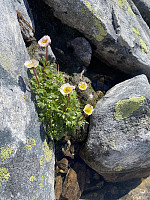 raroa_20240716_6696c6fd8e1a2.jpg