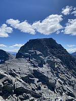 raroa_20240716_6696c7087ed6a.jpg
