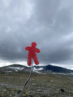 raroa_20240716_6696c7092910b.jpg