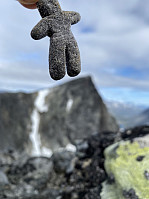 raroa_20241022_6717d0610236d.jpg