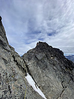 raroa_20241022_6717d063367fc.jpg