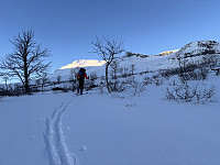 Henrik1_20250220_67b796a93c3c9.jpeg