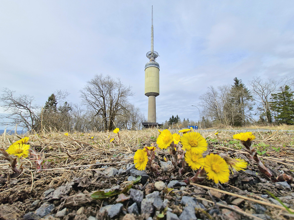 Tryvannstårnet