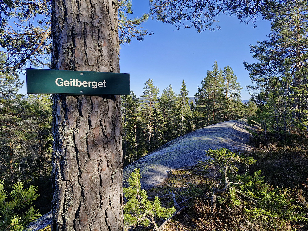 Geitberget utsikt