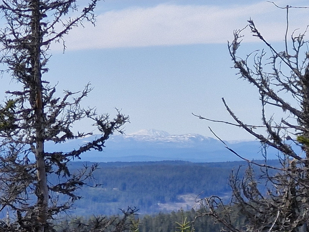 Gaustatoppen sett fra Kjerkeberget