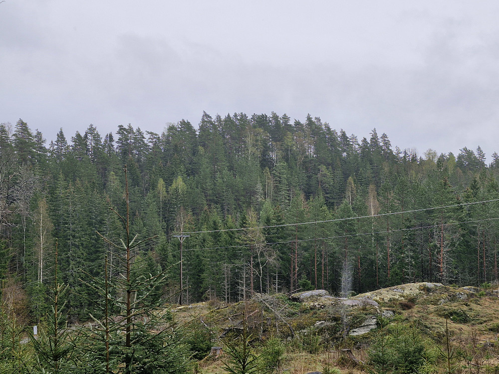 Nordjordåsen