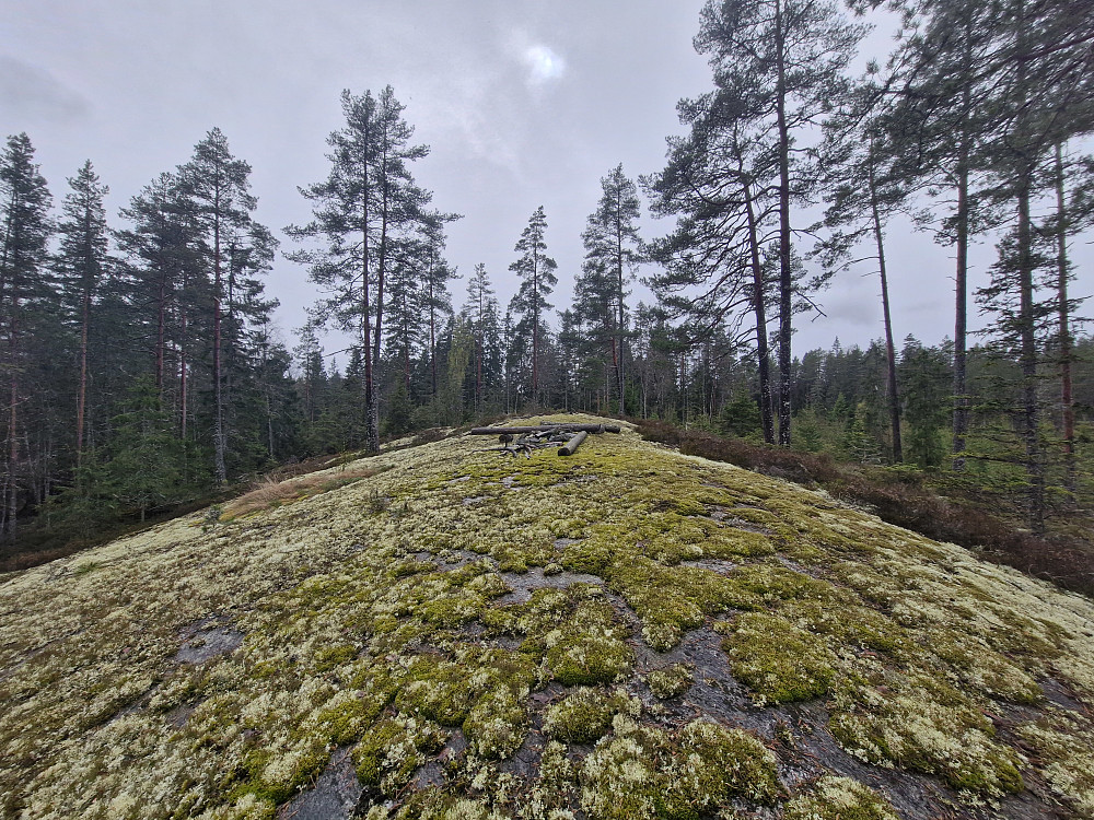 Pukksteinåsen