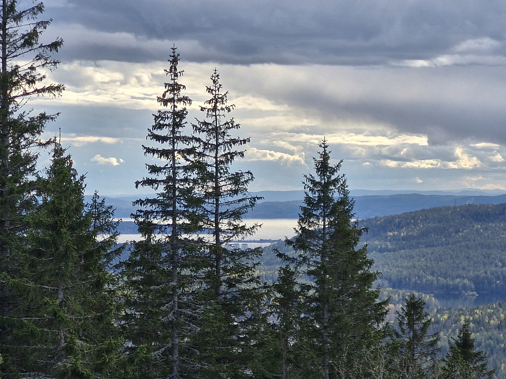 Utsikt mot Oslofjorden og Årvollåsen fra utsiktstårnet på Røverkollen