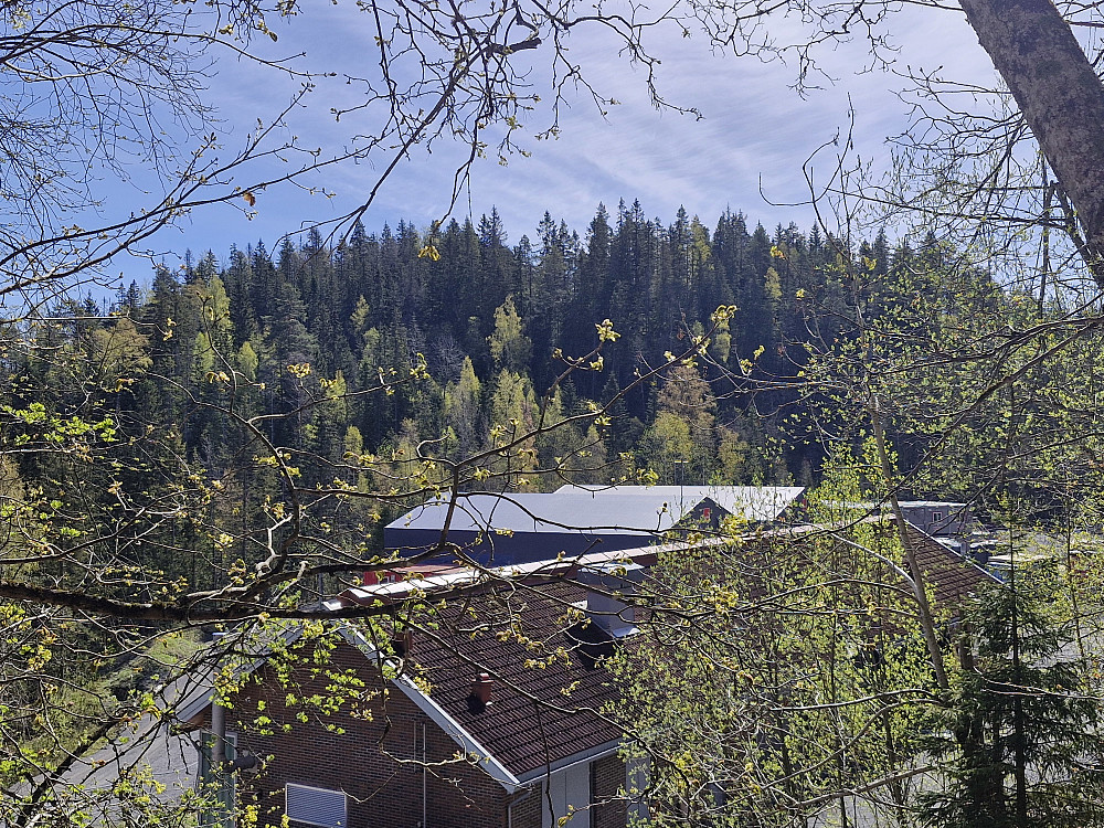 Kattåsen