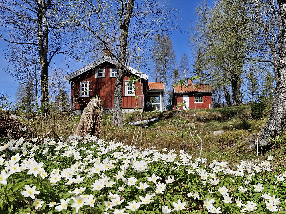Eikelundshøgda