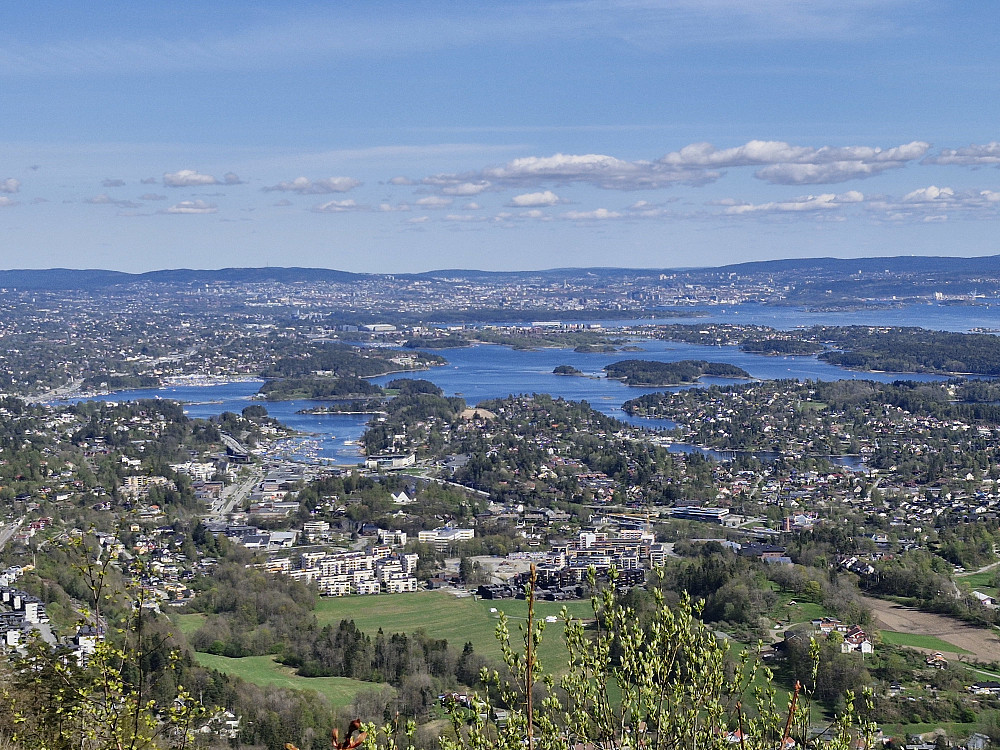 Utsikt fra Skaugumsåsen mot Oslo