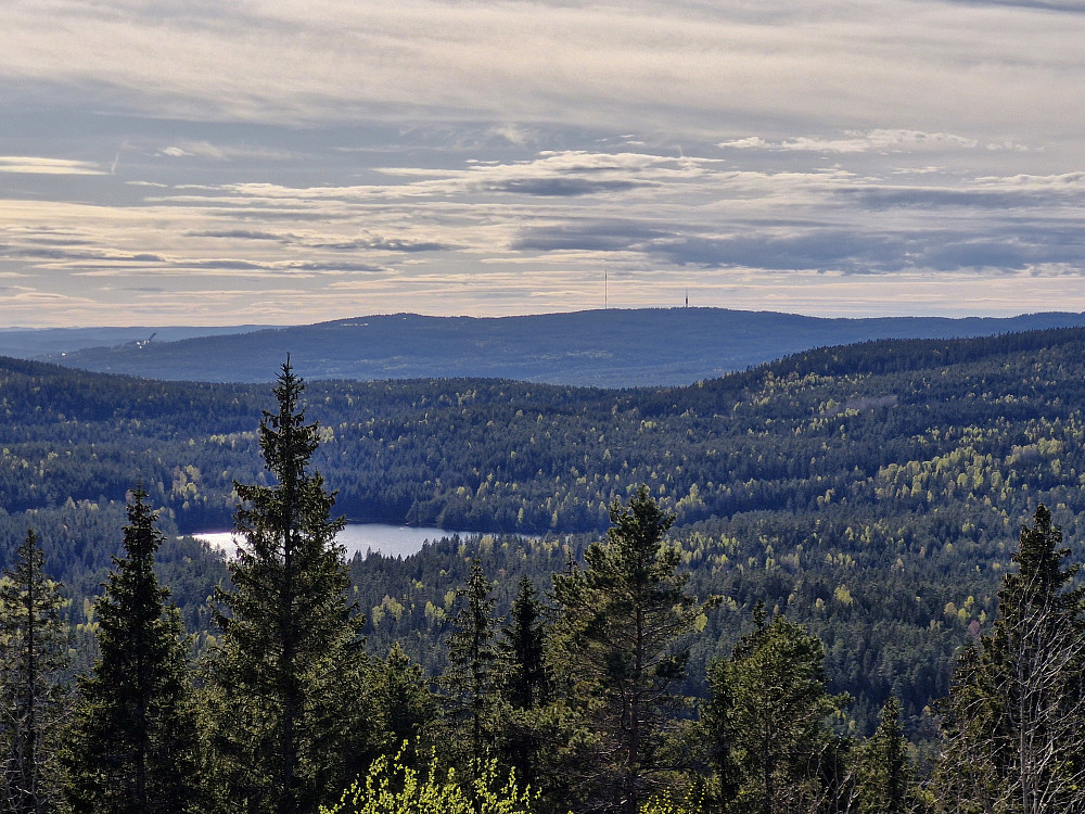 Utsikt mot Tryvann og Holmenkollen