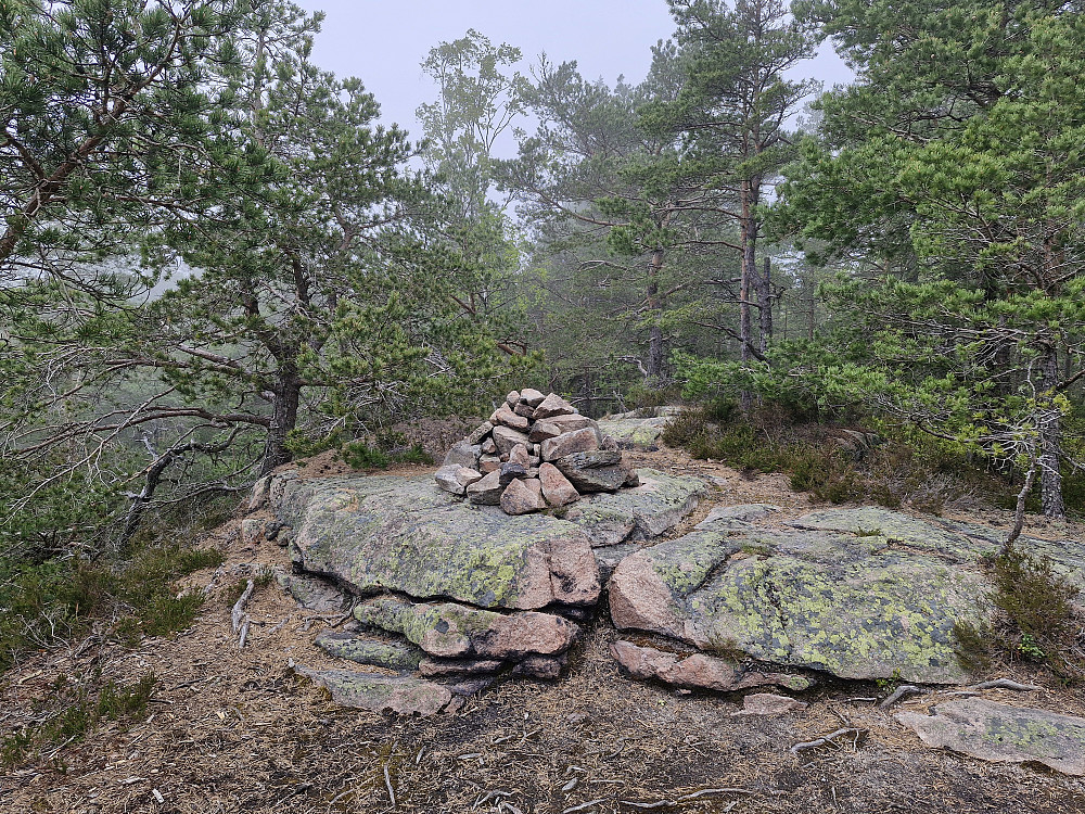 Varden på Haraldsfjellet