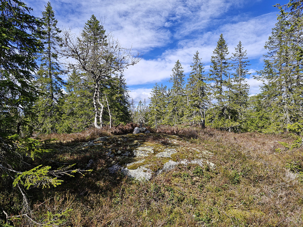 Branntjernhøgda sør