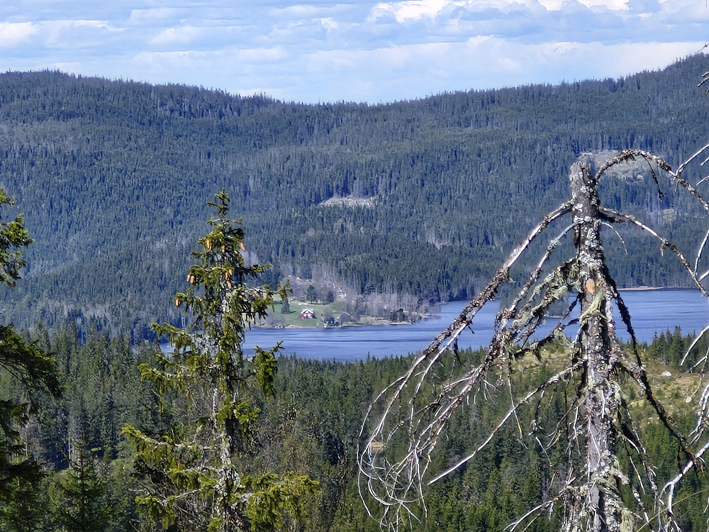Gjerdingen sett fra Branntjernhøgda