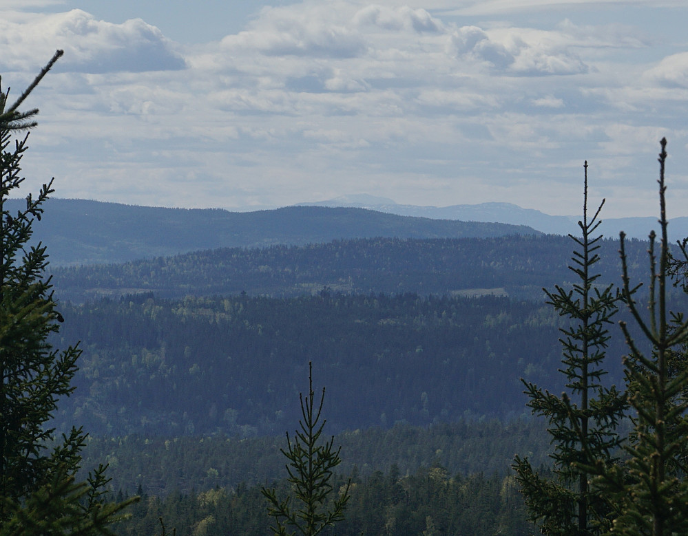 Gaustatoppen sett fra Vidvangshøgda