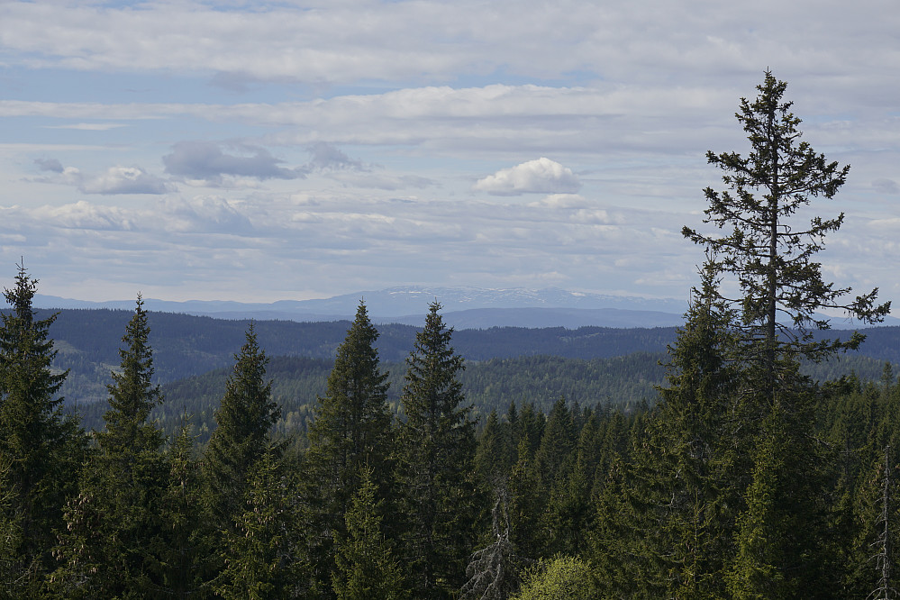 Norefjell sett fra Vidvangshøgda