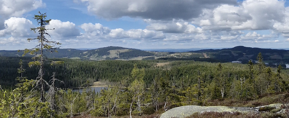 Panoramautsikt mot nord fra Ålsjøbrenna