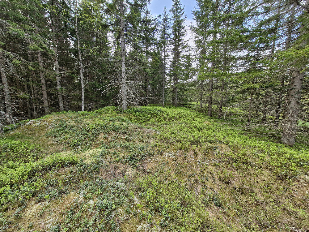 Toppunktet på Triungsvannåsen