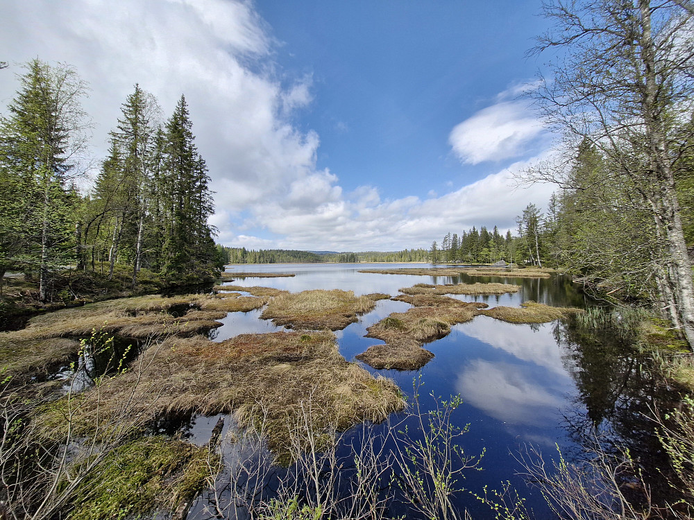 Triungsvanna