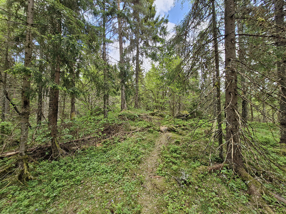 Toppunktet på Mellomåsen