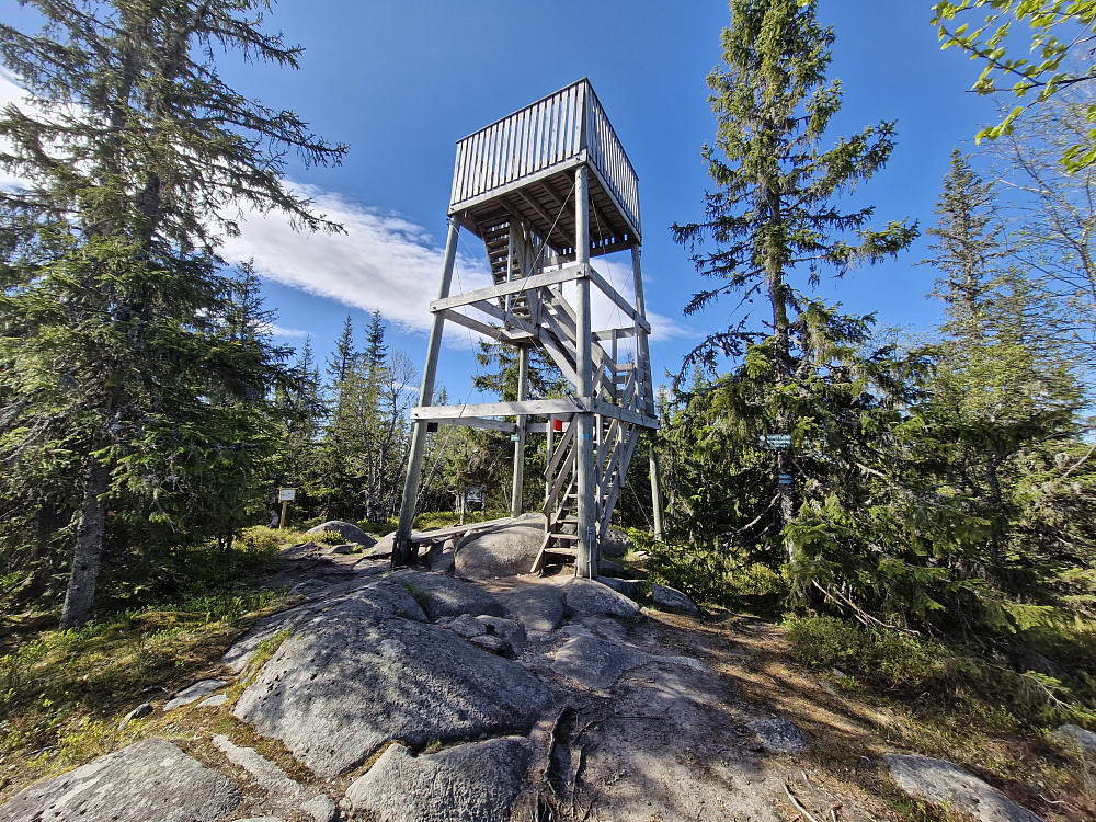 Utsiktstårnet på Svarttjernshøgda