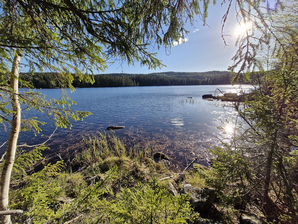 Spålen