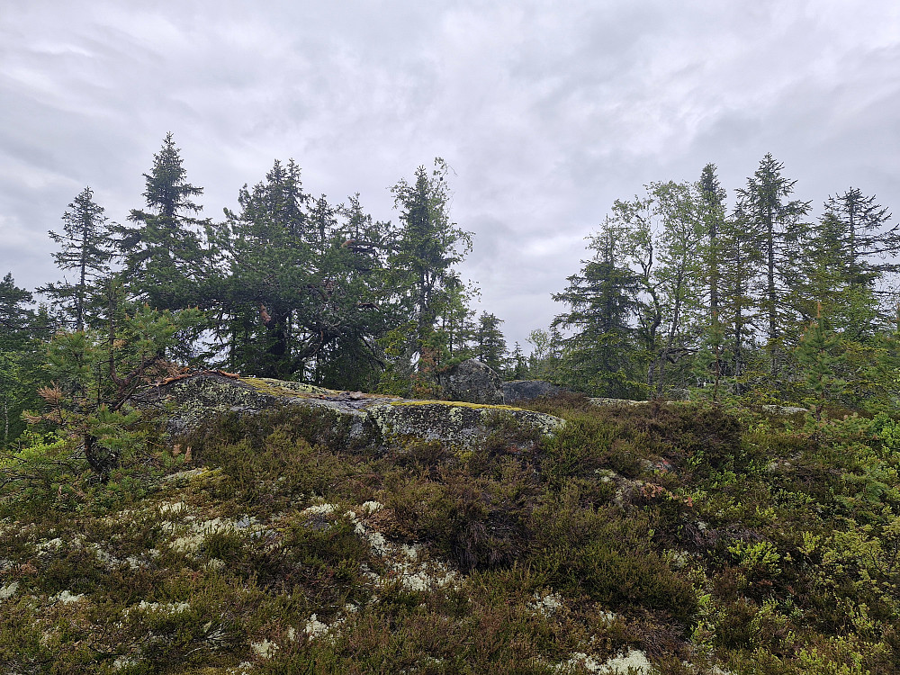 Søttjernberget