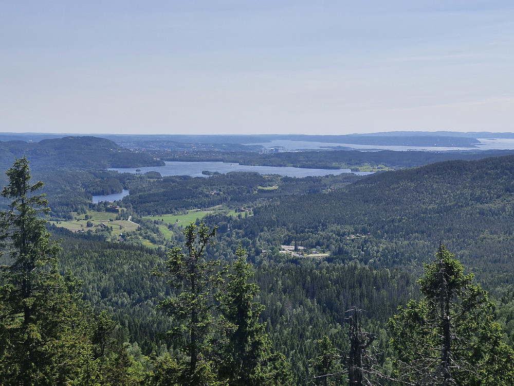 Utsikt mot Maridalsvannet og Oslo fra Mellomkollen utsiktspunkt