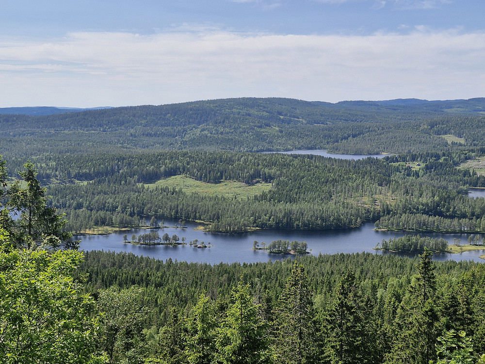 Øyungen og Rottungen sett fra Sellanrå