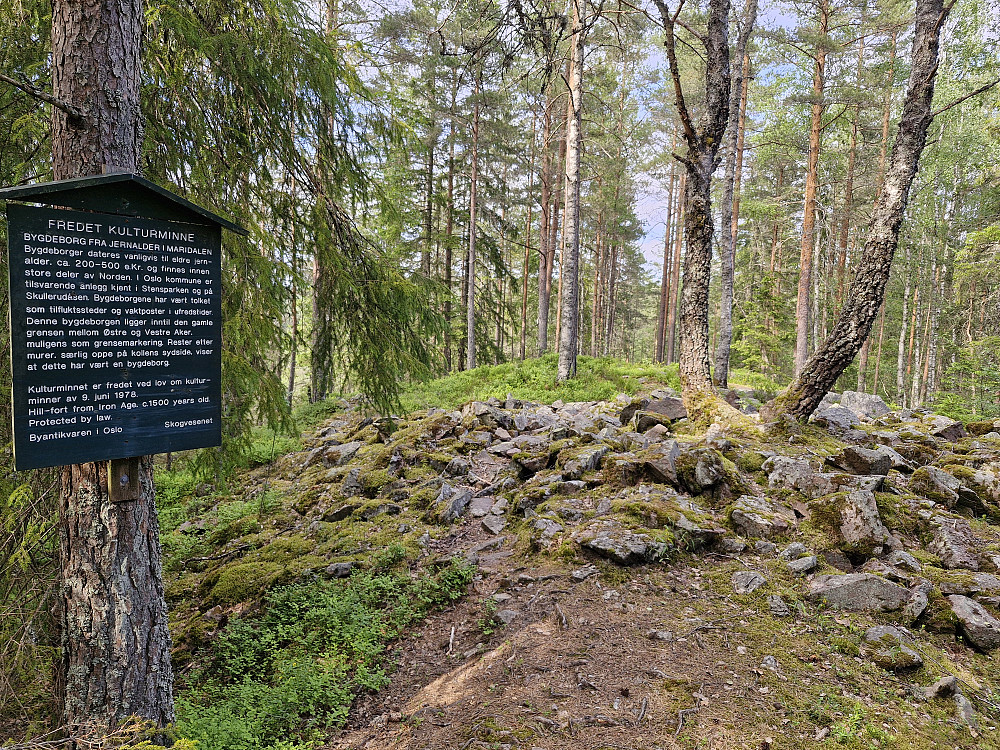 Bygdeborg Monsetangen