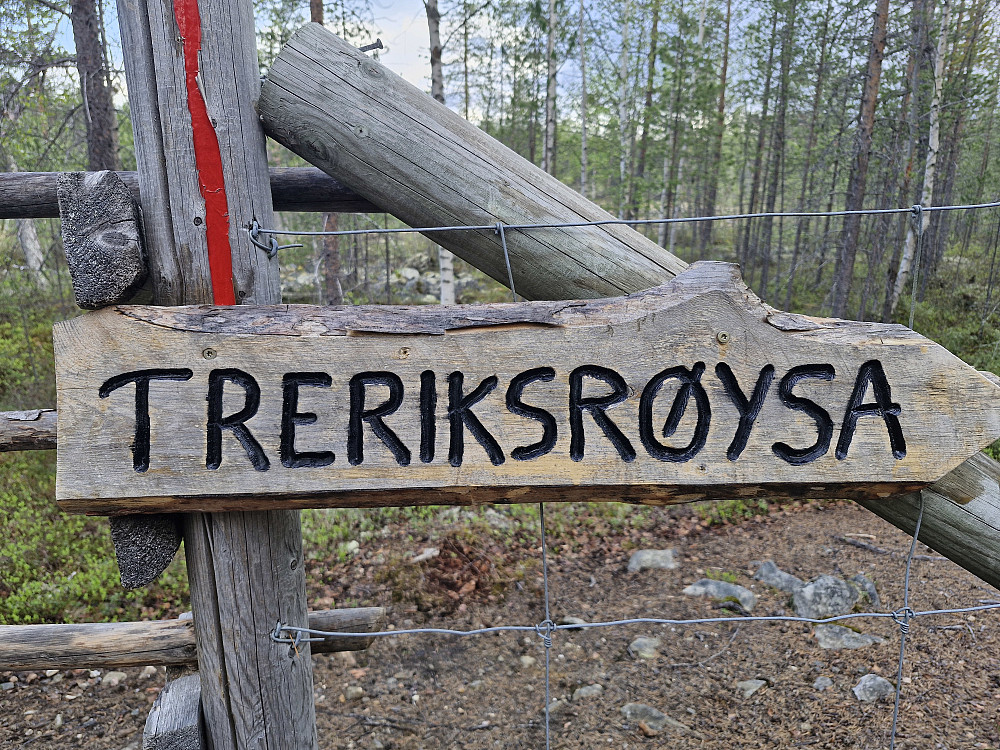 Dagens turmål