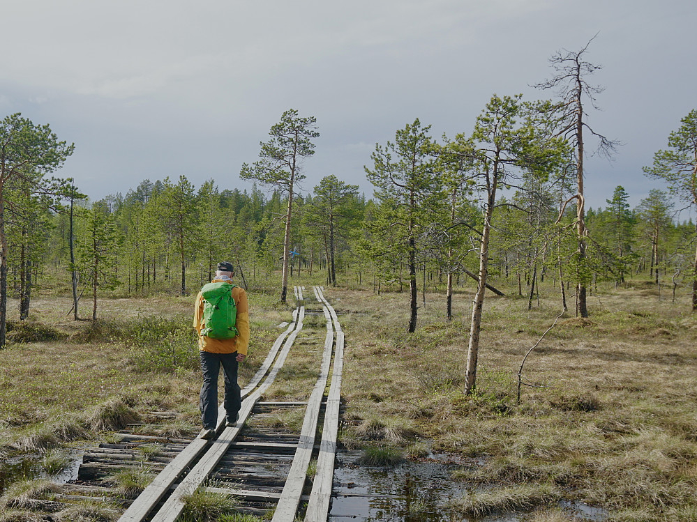 På veg til Treriksrøysa